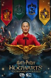 Смотреть Гарри Поттер: Битва факультетов онлайн в HD качестве 720p