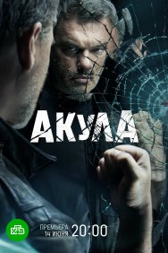 Смотреть Акула онлайн в HD качестве 720p