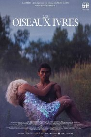 Смотреть Пьяные пташки онлайн в HD качестве 720p