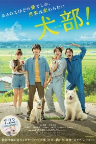Смотреть Клуб собак! онлайн в HD качестве 720p