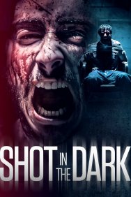 Смотреть Выстрел в темноте онлайн в HD качестве 720p
