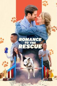 Смотреть Дрессировка любви онлайн в HD качестве 720p