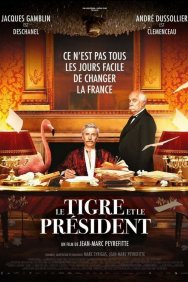 Смотреть Тигр и президент онлайн в HD качестве 720p