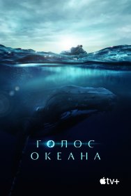 Смотреть Голос Океана онлайн в HD качестве 720p