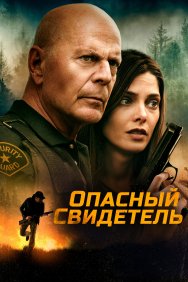 Смотреть Опасный свидетель онлайн в HD качестве 720p