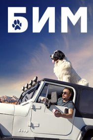 Смотреть БИМ онлайн в HD качестве 720p
