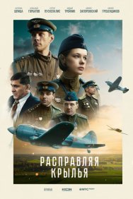 Смотреть Расправляя крылья онлайн в HD качестве 720p