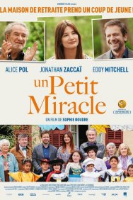 Смотреть Маленькое чудо онлайн в HD качестве 720p