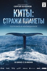 Смотреть Киты: Стражи планеты онлайн в HD качестве 720p