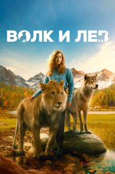 Смотреть Волк и лев  онлайн в HD качестве 720p