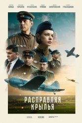 Смотреть Расправляя крылья онлайн в HD качестве 720p